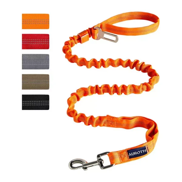 Heavy Duty Bungee Leash